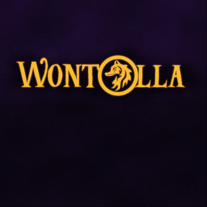 MP3 #485 Wontolla - Laser Pointer